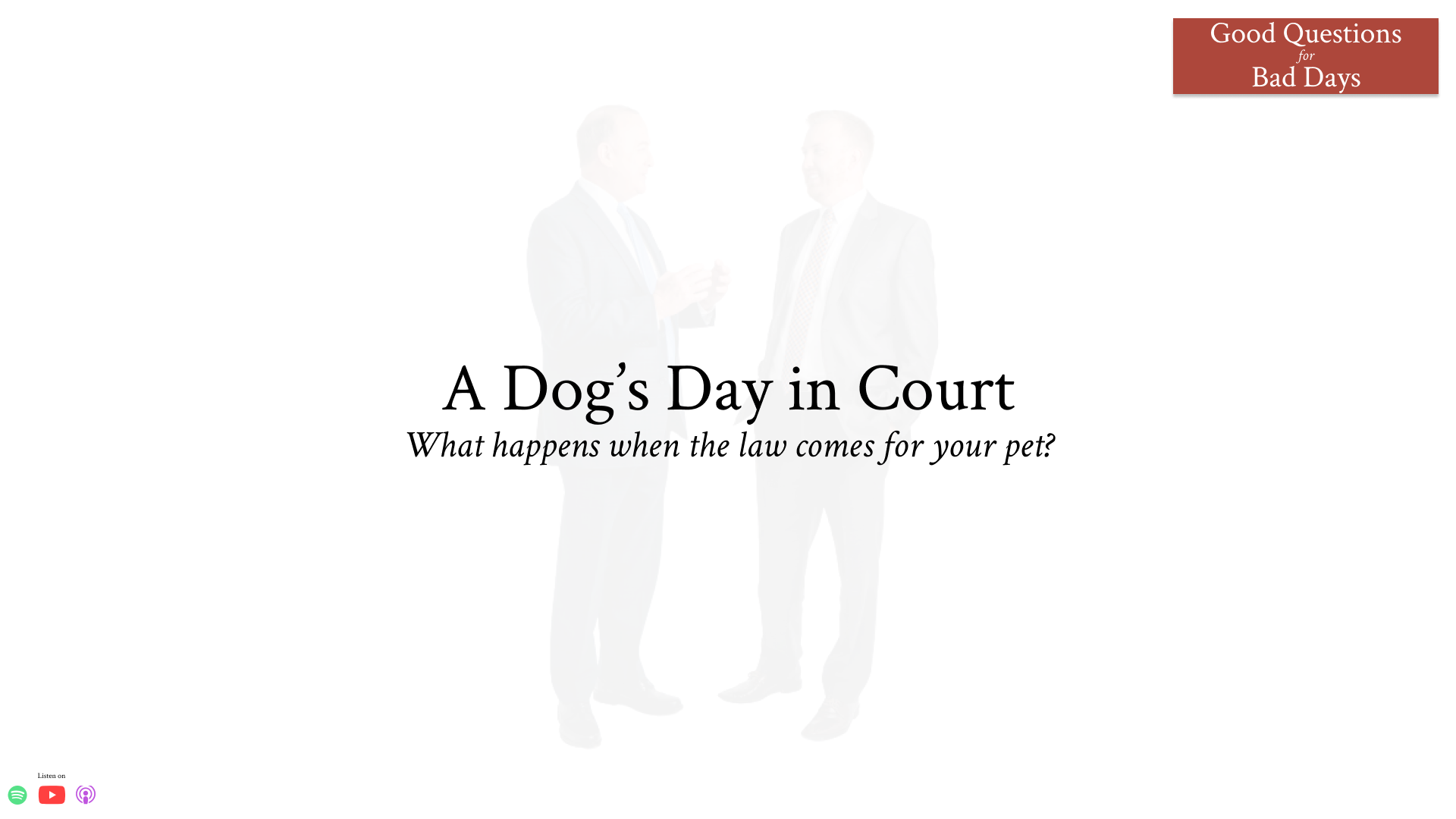 Can My Dog Be Arrested?